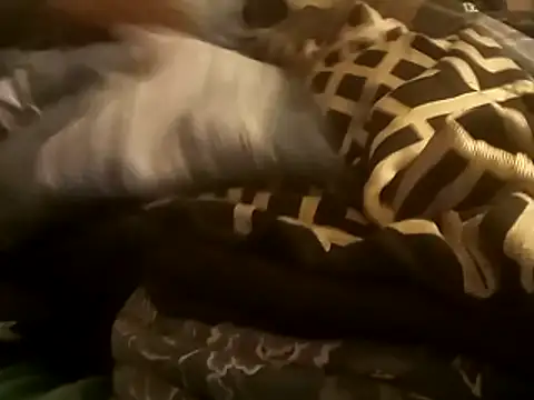 Snapshot of Blkstylion chatting on 12/14/25, 02:50 Blkstylion online show from 12/14/25, 02:50