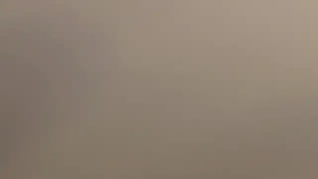 Ammy Castro online show from 05/21/26, 10:17