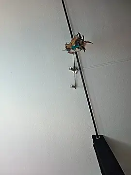 Snapshot of dieGeile0411 chatting on 10/24/25, 09:49 dieGeile0411 online show from 10/24/25, 09:49