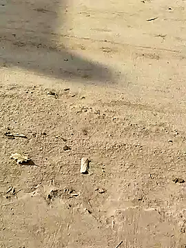 Monster Bigdick online show from 12/08/24, 03:32