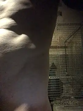 Josele1981 online show from 05/01/26, 08:46