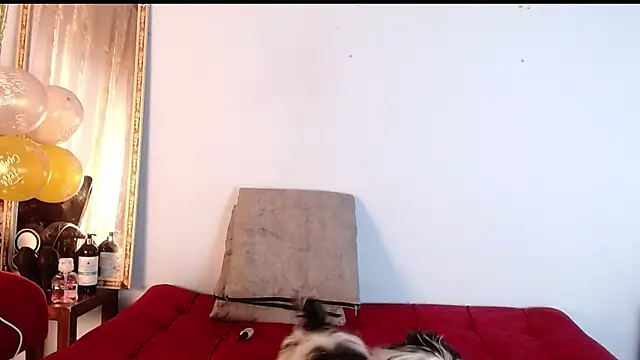 Snapshot of Tamararios chatting on 11/27/25, 10:01 Tamararios online show from 11/27/25, 10:01