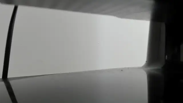 Alejandra Dunn online show from 10/03/25, 01:19