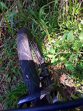 Adee21e online show from 11/21/25, 04:38