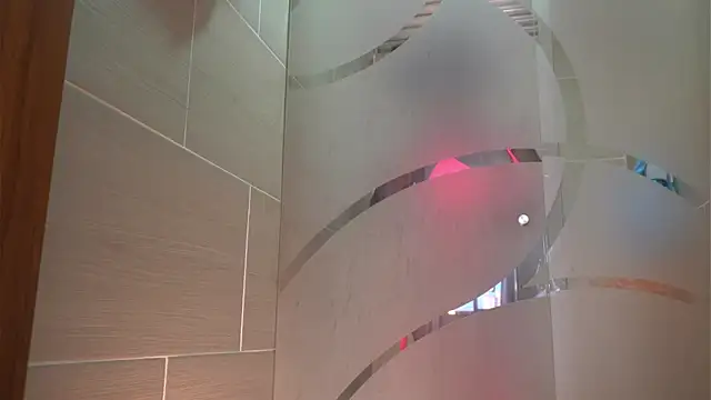 sowfit online show from 01/20/25, 08:07