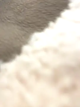 NewLale online show from 10/12/25, 03:38