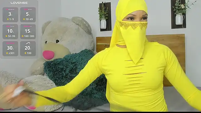 Snapshot of Sabba_sajjad chatting on 11/29/25, 03:09 Sabba sajjad online show from 11/29/25, 03:09