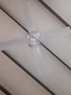 Snapshot of TuBandi2 chatting on 11/11/25, 09:48 TuBandi2 online show from 11/11/25, 09:48