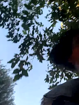 starrynikki online show from 10/24/25, 02:24