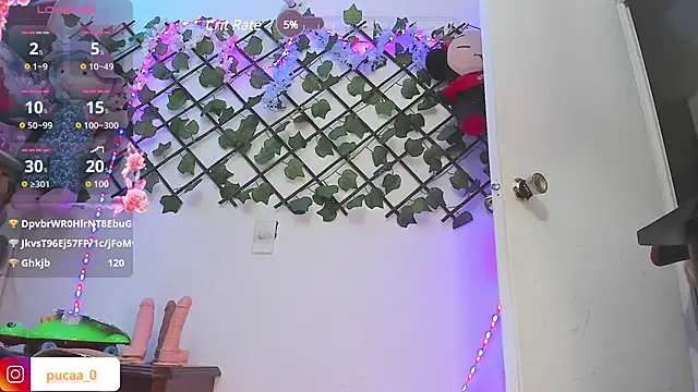 Pucaa  online show from 12/20/24, 04:53