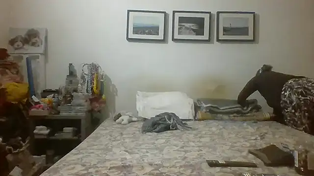 brasiliana49 online show from 05/16/26, 06:07