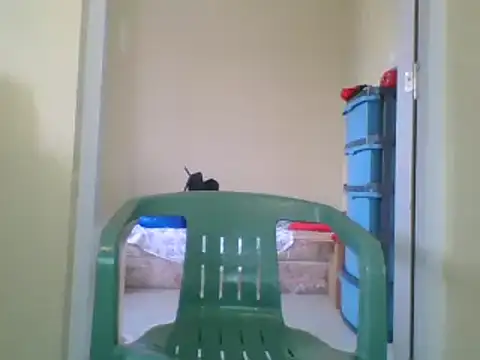 the geisha 2021k online show from 01/27/25, 12:48