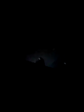 Fuckbudiez online show from 12/15/25, 08:13