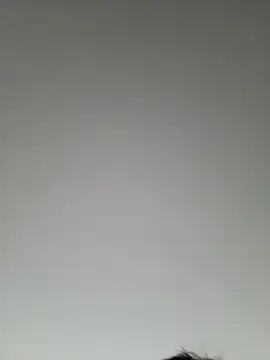 Snapshot of high_andlow420 chatting on 03/08/25, 12:41 high andlow420 online show from 03/08/25, 12:41