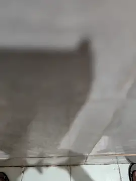 Snapshot of joejoe7 chatting on 11/17/25, 01:33 joejoe7 online show from 11/17/25, 01:33