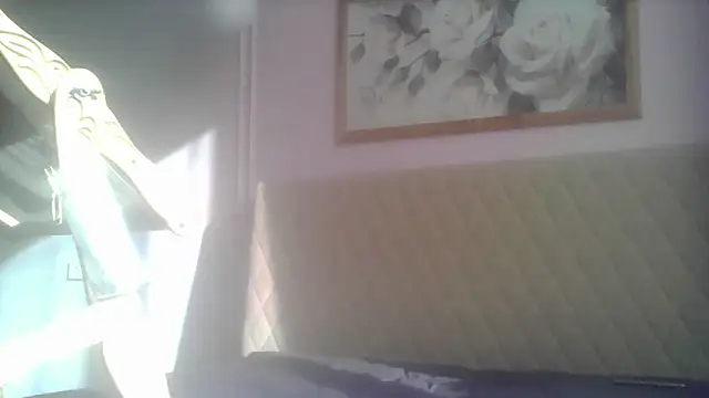 Snapshot of SunElizabeth chatting on 06/12/26, 02:43 SunElizabeth online show from 06/12/26, 02:43