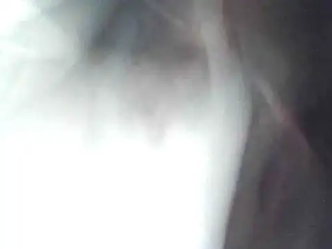 technodotado online show from 04/23/26, 02:13