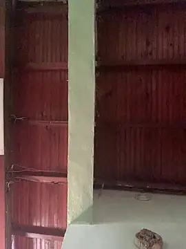 SOYMRX online show from 01/04/25, 04:11