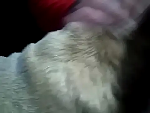 Snapshot of missthickness35_Pika chatting on 01/13/25, 03:45 missthickness35 Pika online show from 01/13/25, 03:45