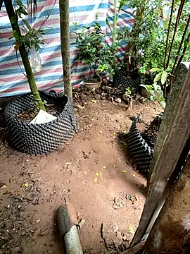 Suri amabel online show from 10/28/25, 04:27