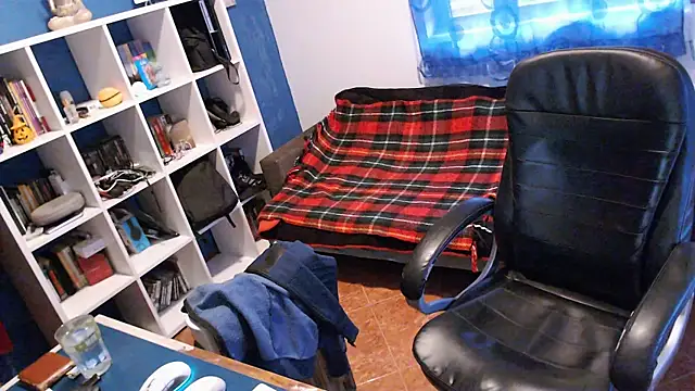 ravingr4d4 online show from 01/27/25, 09:13