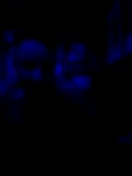 AlphaAlluring69 online show from 05/11/26, 05:46