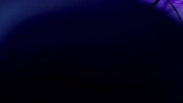 violett lo online show from 07/16/26, 03:12