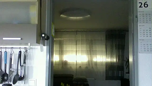 Snapshot of pimmelmann3 chatting on 04/23/26, 12:29 pimmelmann3 online show from 04/23/26, 12:29