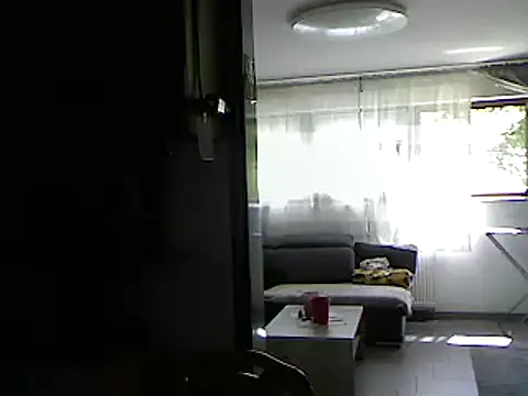 Snapshot of pimmelmann3 chatting on 05/22/26, 11:16 pimmelmann3 online show from 05/22/26, 11:16