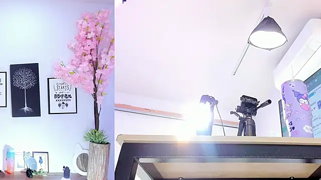 Siouxsie cenobite online show from 10/15/25, 11:32