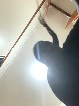 Snapshot of sweet18creamybigpussy chatting on 11/05/25, 08:09 sweet18creamybigpussy online show from 11/05/25, 08:09