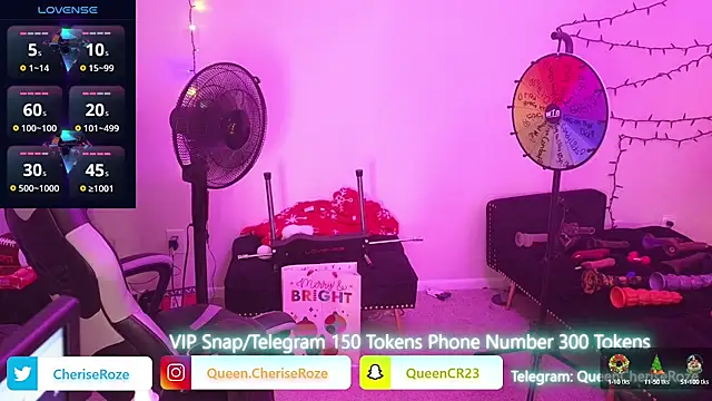 Snapshot of cheriserozequeen chatting on 12/22/24, 10:25 cheriserozequeen online show from 12/22/24, 10:25