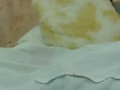 hairy pussywet online show from 02/04/25, 12:40