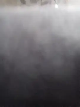 Rodrigo happy online show from 06/23/26, 04:21