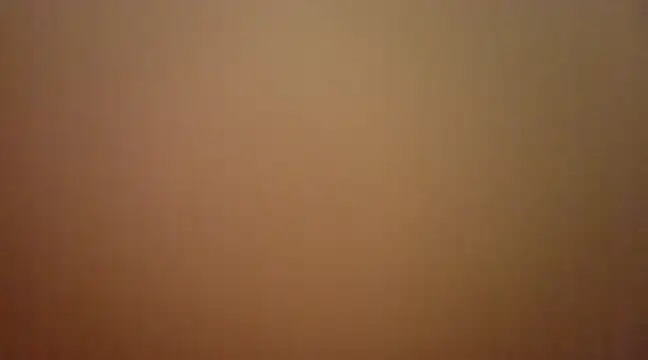 sonowhite online show from 02/12/25, 03:27