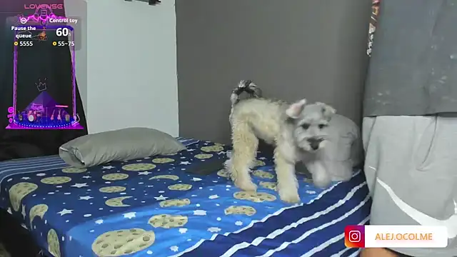 jacob firexx online show from 07/02/26, 03:23