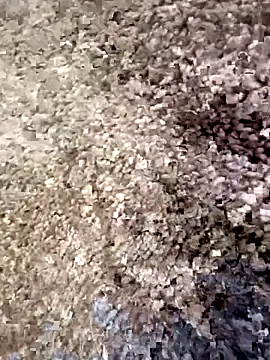 Snapshot of christian0009 chatting on 12/18/25, 04:46 christian0009 online show from 12/18/25, 04:46