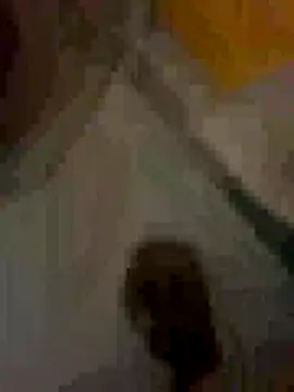 MonKeeees online show from 09/09/25, 09:47