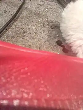 Snapshot of lubme chatting on 10/07/25, 08:00 lubme online show from 10/07/25, 08:00