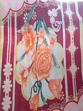 Snapshot of Burhade-- chatting on 12/30/24, 11:48 Burhade-- online show from 12/30/24, 11:48