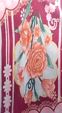 Snapshot of Burhade-- chatting on 01/02/25, 01:49 Burhade-- online show from 01/02/25, 01:49