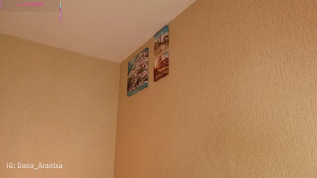 Snapshot of DanArant chatting on 11/28/25, 10:01 DanArant online show from 11/28/25, 10:01