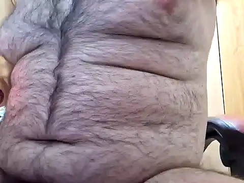 Javier bear online show from 12/29/24, 11:07