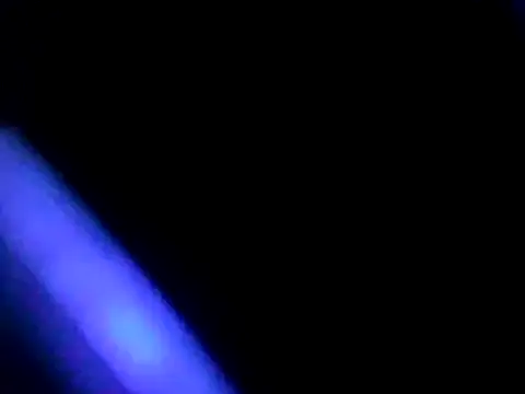 Javier bear online show from 01/04/25, 10:38