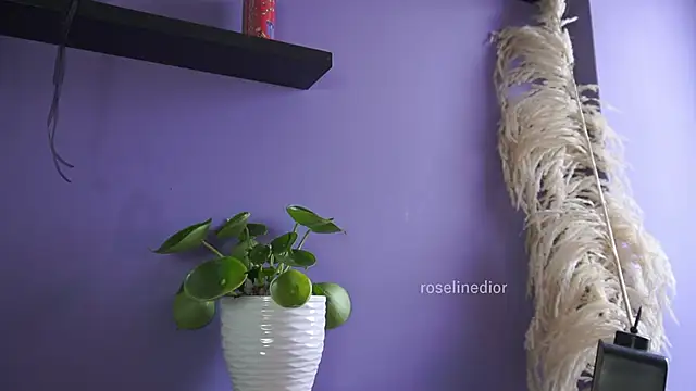 roselinedior online show from 05/20/26, 04:24