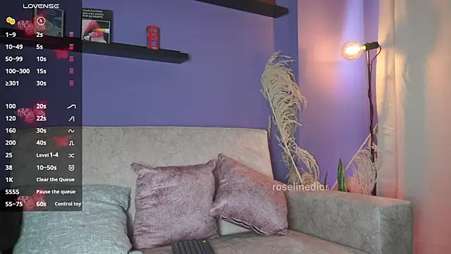 roselinedior online show from 06/11/26, 04:05