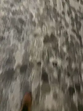 mightgogay online show from 02/28/25, 04:54