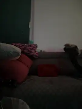 Snapshot of BigBoy420x chatting on 02/28/25, 05:04 BigBoy420x online show from 02/28/25, 05:04