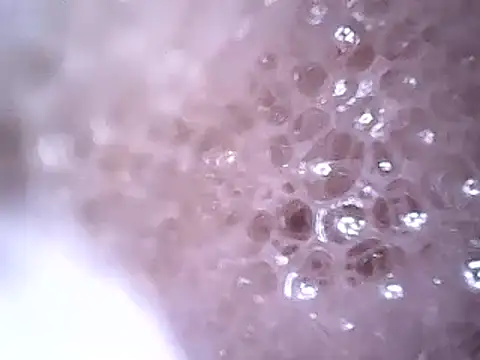 Snapshot of Beijing2000 chatting on 12/19/24, 02:45 Beijing2000 online show from 12/19/24, 02:45