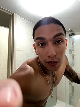 Snapshot of sendfer chatting on 11/20/25, 09:47 sendfer online show from 11/20/25, 09:47